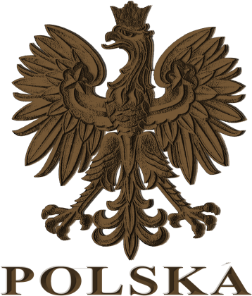 Koszulka ORZEŁ godlo Polska