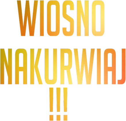 T-shirt wiosna 2 white