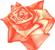 Torba róża