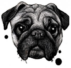 Pug M - nadruk