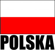 Koszulka męska z flagą i napisem