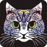 Damska koszulka Cat Arabic Style 8 (T2-KW11-W96-K4)