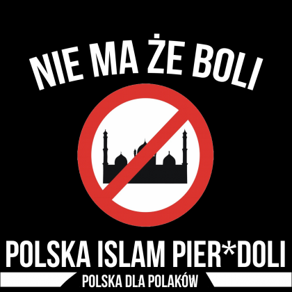Znalezione obrazy dla zapytania: nie ma że boli polski islam pierdoli"