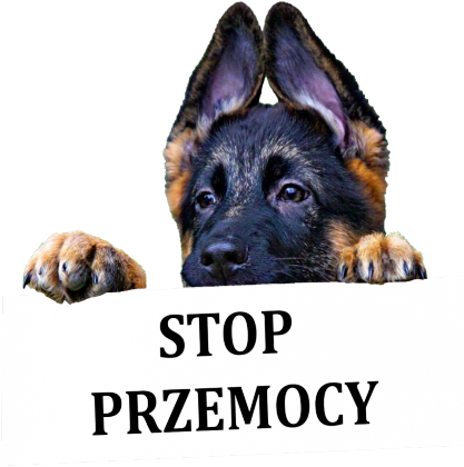 Koszulka męska STOP PRZEMOCY