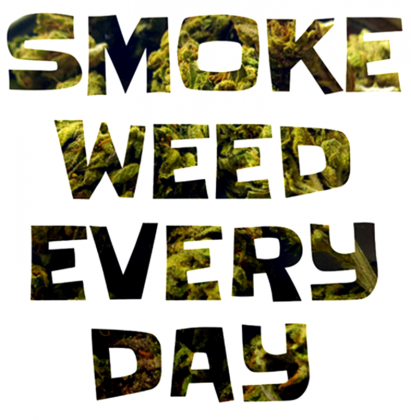 Sadzic Palic Zalegalizowac Marihuana