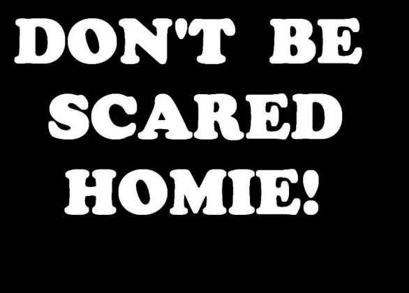 DON'T BE SCARED HOMIE