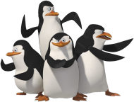 Pingwiny razem