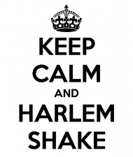 HARLEM SHAKE !