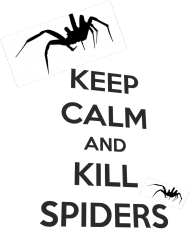 Koszulka Męska "KEEP CALM AND KILL SPIDERS"