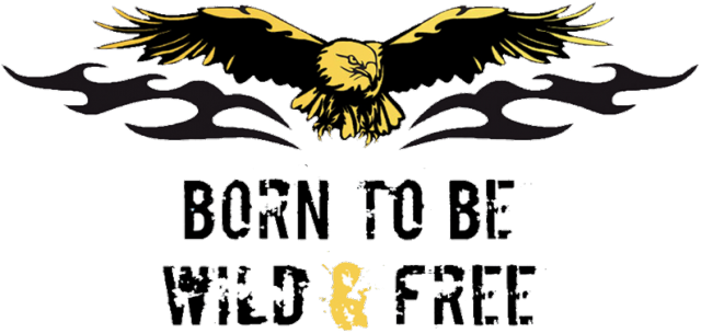 born to be wild & free