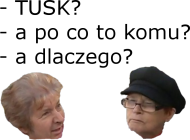 TAA - biała męska