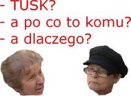 TAA - czarna męska