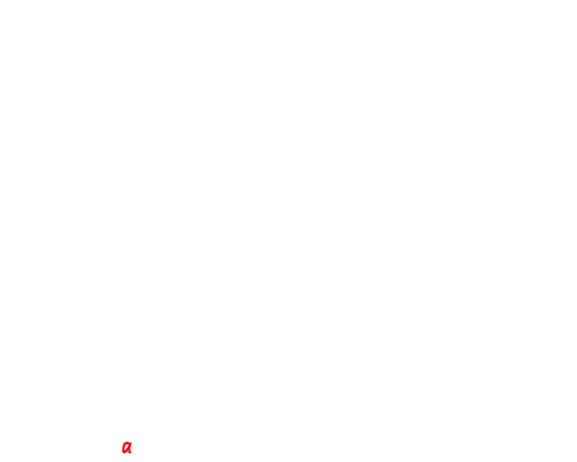 Koszulka na Finał Kampanii