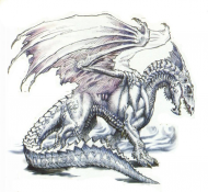 dragon Biała