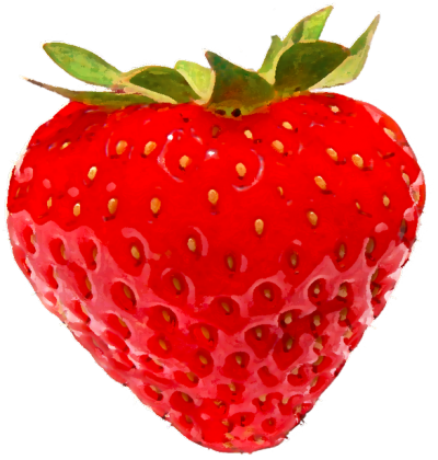 Koszulka damska Truskaweczka