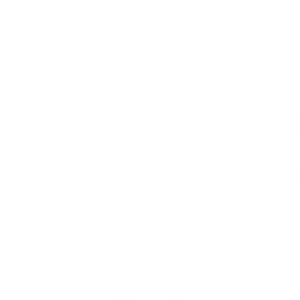 Bluza Women Beskar Przód-Tył - nadruk