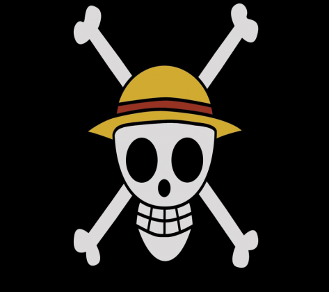 One piece Skull