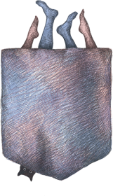sexy pocket