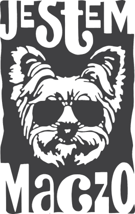 york maczo