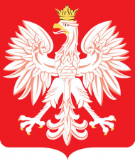 dziecieca koszulka reprezentacyjna Polski