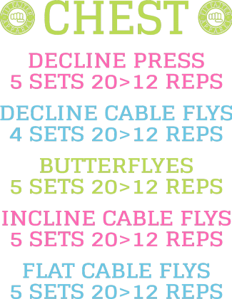 FIT FAJTER CHEST K2