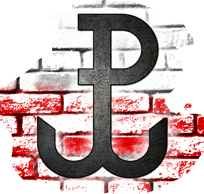 Bluza Patriotyczna " Polska Walcząca"