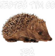 Jesteś tym co jeż