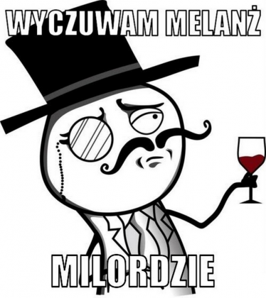 WMM T-shirt męski
