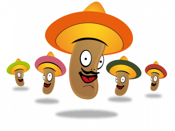 Fagiolo - Mexican Beans