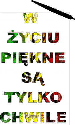 W ŻYCIU PIĘKNE SĄ TYLKO CHWILE