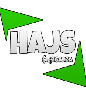 HAJS SIĘ ZGADZA KOSZULKA ! - nadruk
