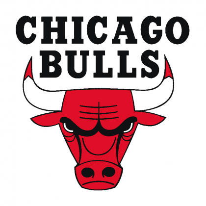 Chicago Bulls T-Shirt