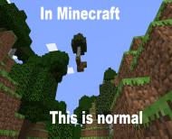 In Minecraft This is normal