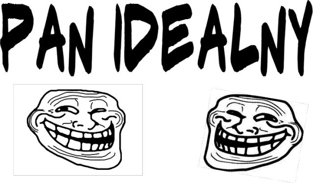 Pan Idealny