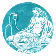 Koszulka Syrena Wolontariusz