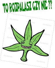 Koszulka z napisem i liściem biała