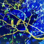 Golden Birds/ekotorba