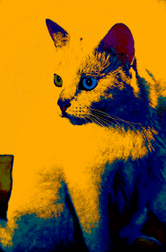 Blue-eyed Monster/dama 2