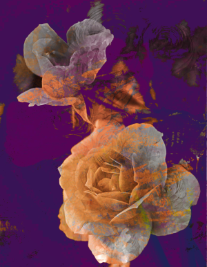 Retromodern Roses/podkładka - nadruk