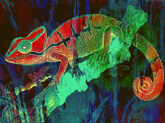 Kamuflaż