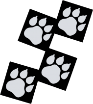 T-shirt czarny męski