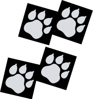 T-shirt carny damski