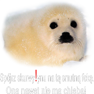 Smutna Foka bluza Weekend