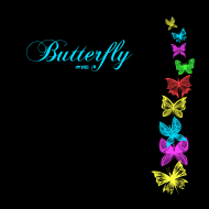 BUTTERFLY 1