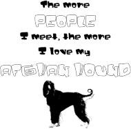 Afghan hound 001