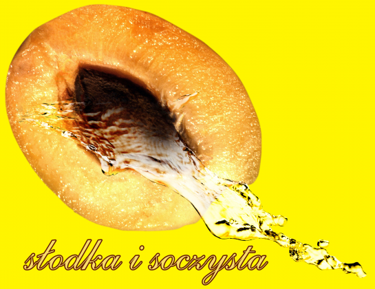 brzoskwinka żółta