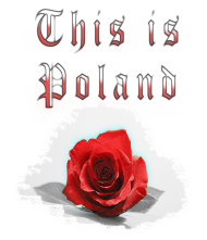 koszulka This is Poland