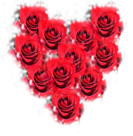 kubek Pink rose Różowa róża