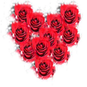 kubek Pink rose Różowa róża