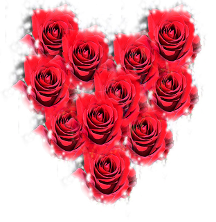 kubek Pink rose Różowa róża